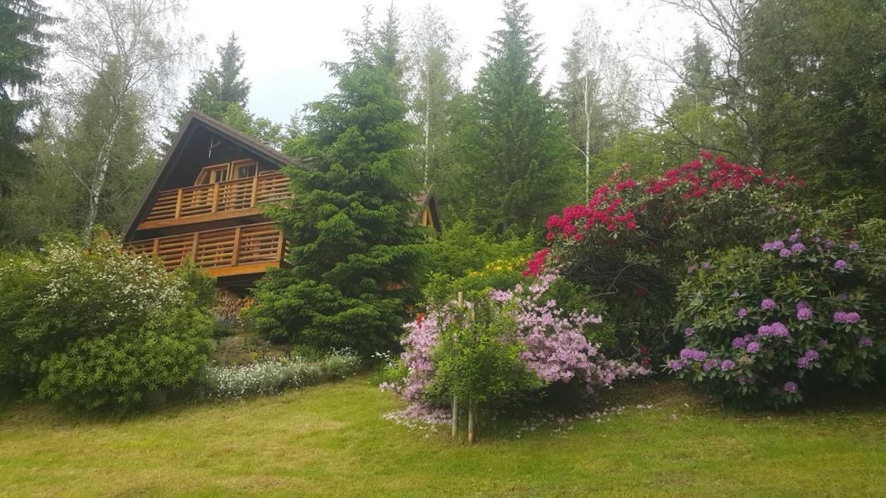 Chalet Bellevue Rogla Zreče Exterior foto